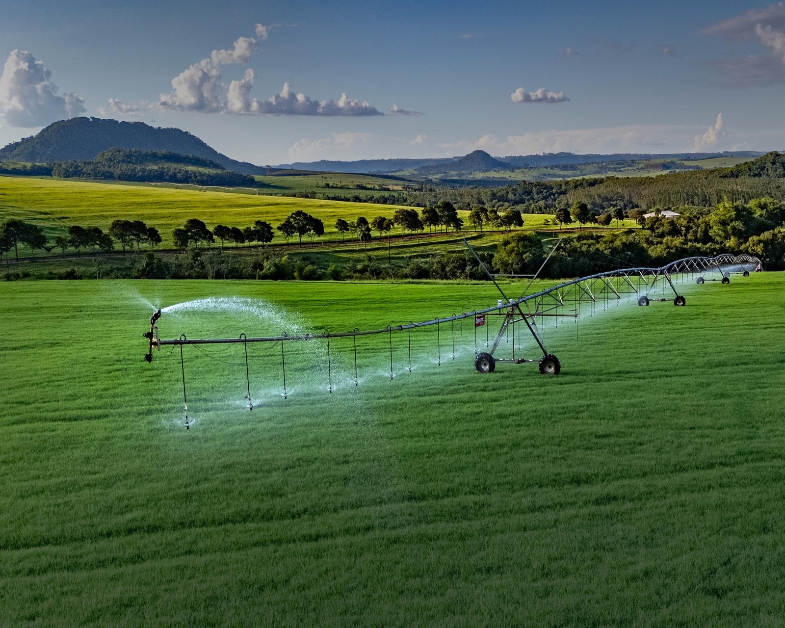 Sistema de Irrigação em Funcionamento